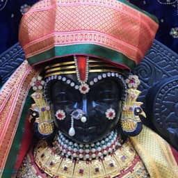 Dwarkesh Consultancy